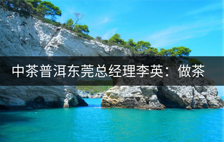 中茶普洱東莞總經(jīng)理李英:做茶應(yīng)該“心思簡靜” 中茶普洱東莞總經(jīng)理李英:做茶應(yīng)該“心思簡靜”