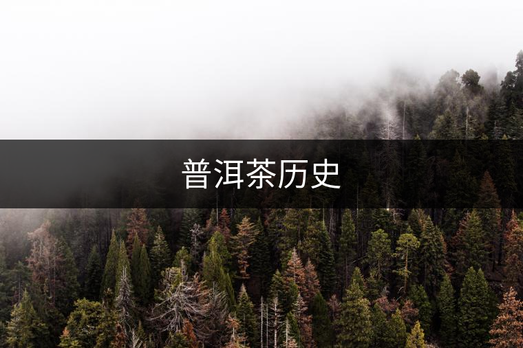 普洱茶歷史 普洱茶歷史