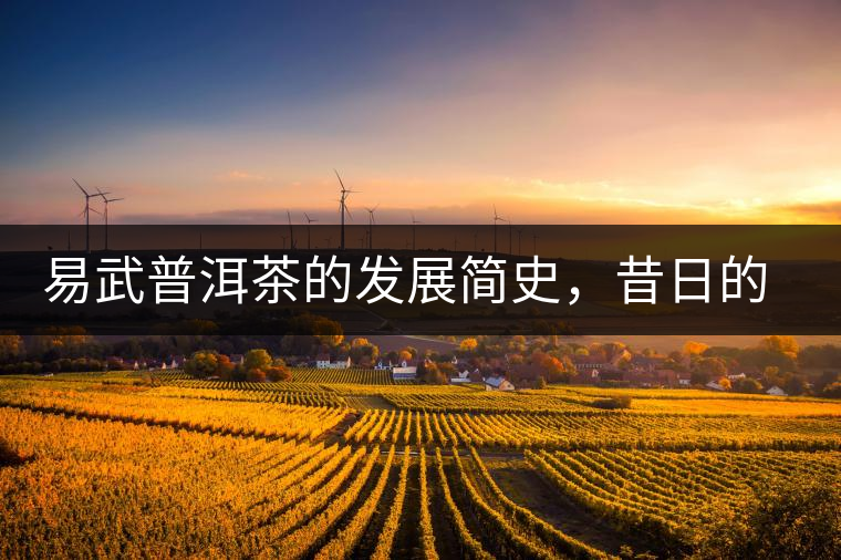 易武普洱茶的發(fā)展簡(jiǎn)史,昔日的貢茶如今依然輝煌 易武普洱茶的發(fā)展簡(jiǎn)史,昔日的貢茶如今依然輝煌