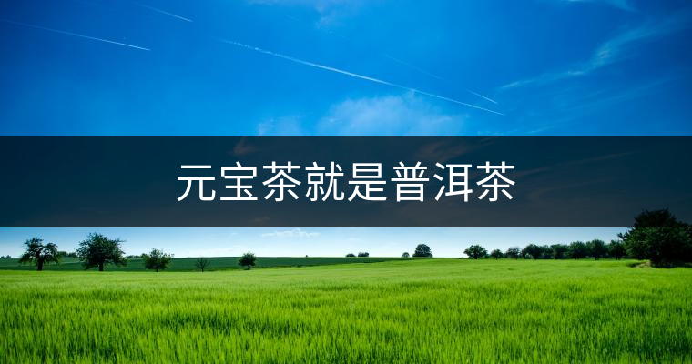 元寶茶就是普洱茶 元寶茶就是普洱茶