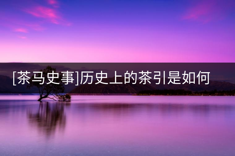 [茶馬史事]歷史上的茶引是如何改為茶票的?