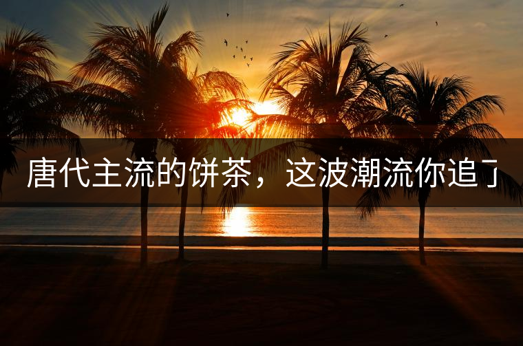 唐代主流的餅茶，這波潮流你追了嗎？