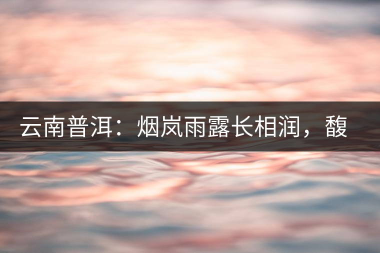 云南普洱：煙嵐雨露長(zhǎng)相潤(rùn)，馥郁芳香久久留