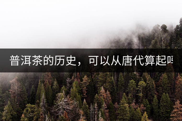 普洱茶的歷史，可以從唐代算起嗎？