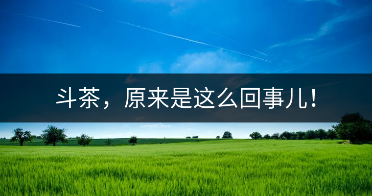 斗茶，原來是這么回事兒！