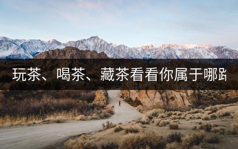 玩茶、喝茶、藏茶看看你屬于哪路茶神！