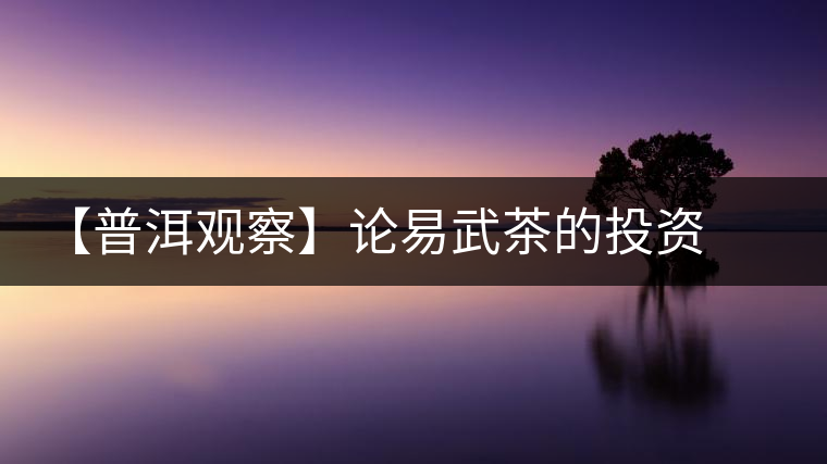 【普洱觀(guān)察】論易武茶的投資價(jià)值