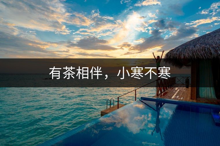 有茶相伴，小寒不寒