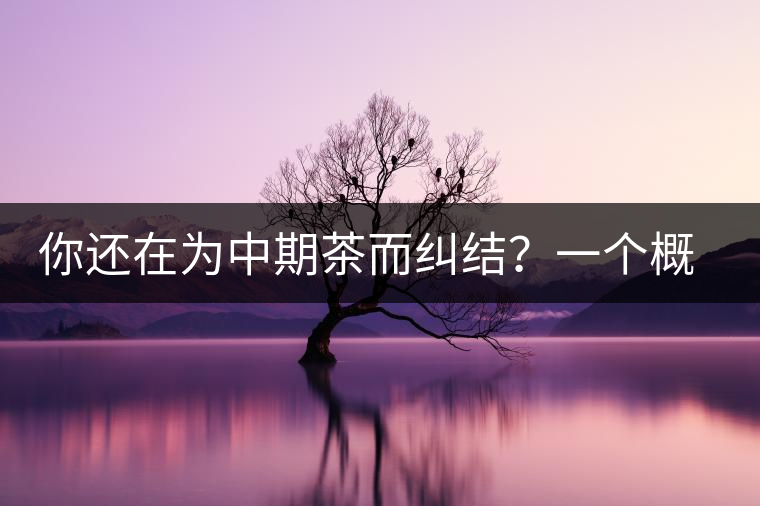 你還在為中期茶而糾結(jié)？一個概念罷了