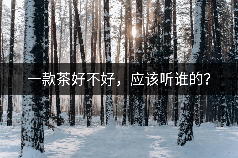 一款茶好不好，應該聽誰的？