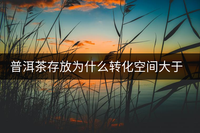 普洱茶存放為什么轉(zhuǎn)化空間大于品質(zhì)