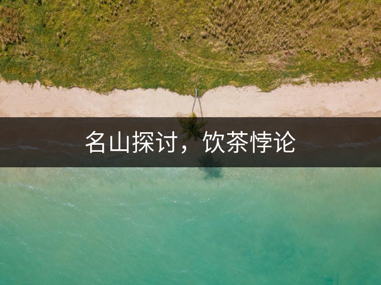 名山探討，飲茶悖論