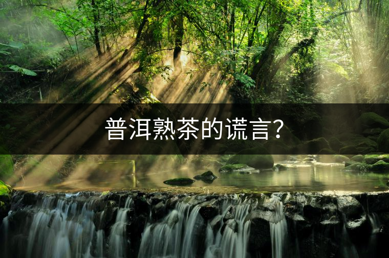 普洱熟茶的謊言？