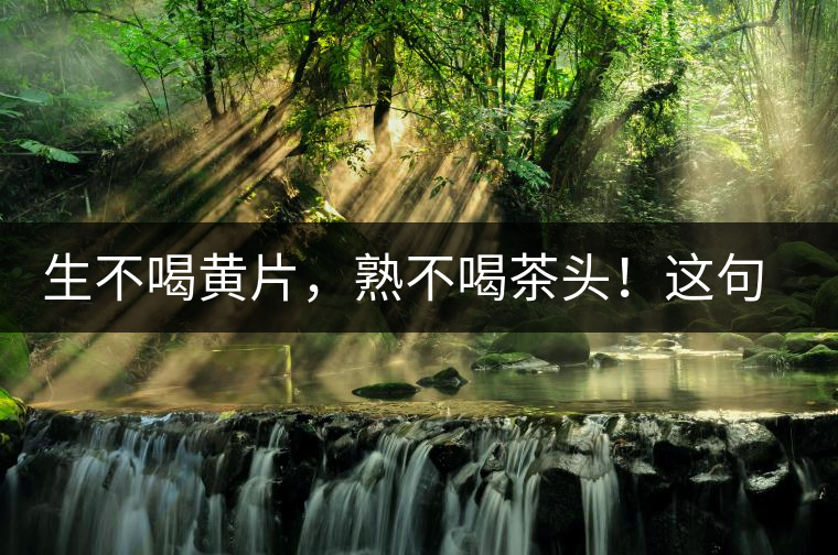 生不喝黃片，熟不喝茶頭！這句話你了解多少？