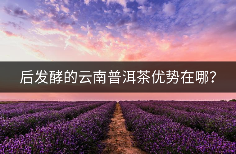 后發(fā)酵的云南普洱茶優(yōu)勢在哪？