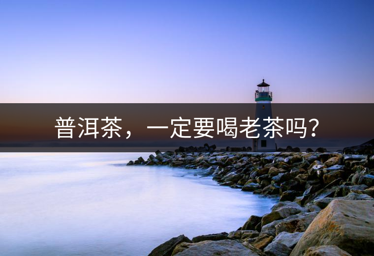 普洱茶，一定要喝老茶嗎？