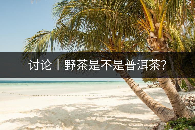 討論丨野茶是不是普洱茶？