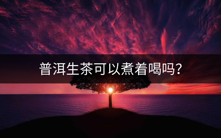 普洱生茶可以煮著喝嗎？
