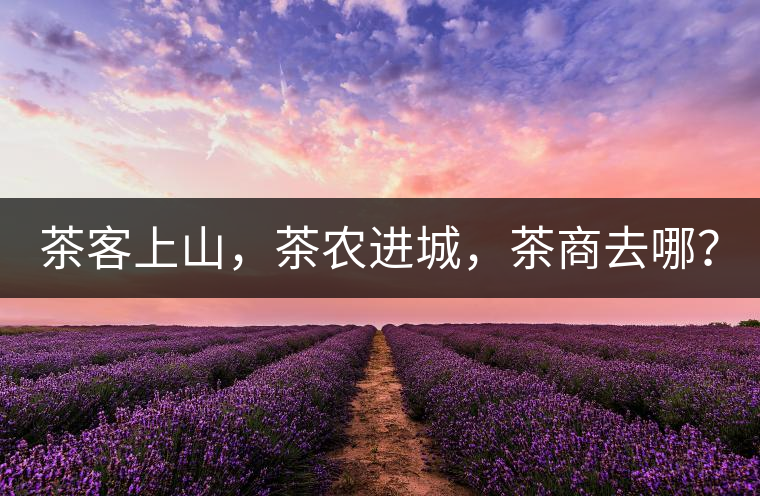 茶客上山，茶農(nóng)進(jìn)城，茶商去哪？