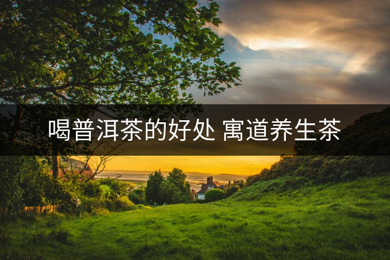 喝普洱茶的好處 寓道養(yǎng)生茶 喝普洱茶的好處 寓道養(yǎng)生茶