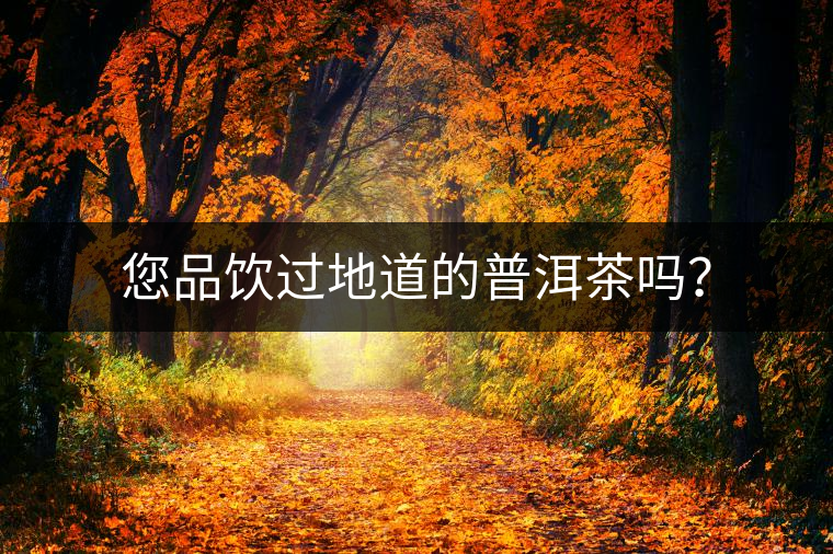 您品飲過地道的普洱茶嗎？