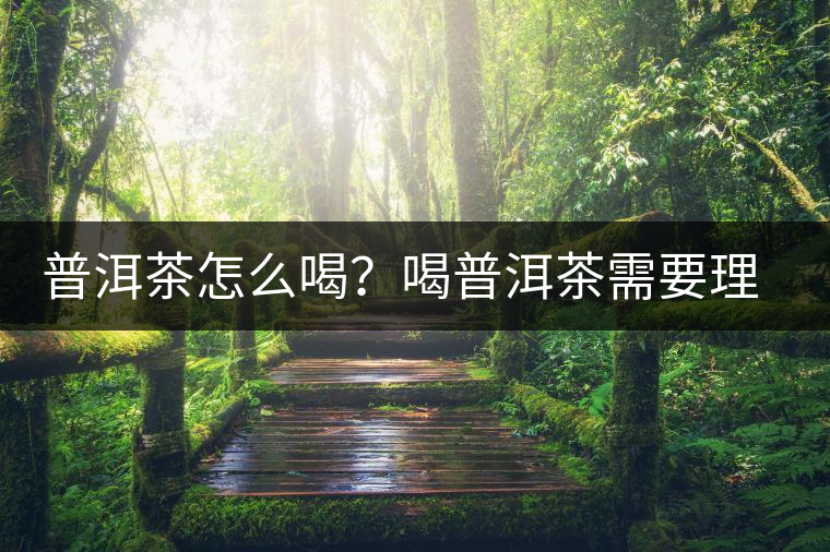 普洱茶怎么喝？喝普洱茶需要理由嗎？