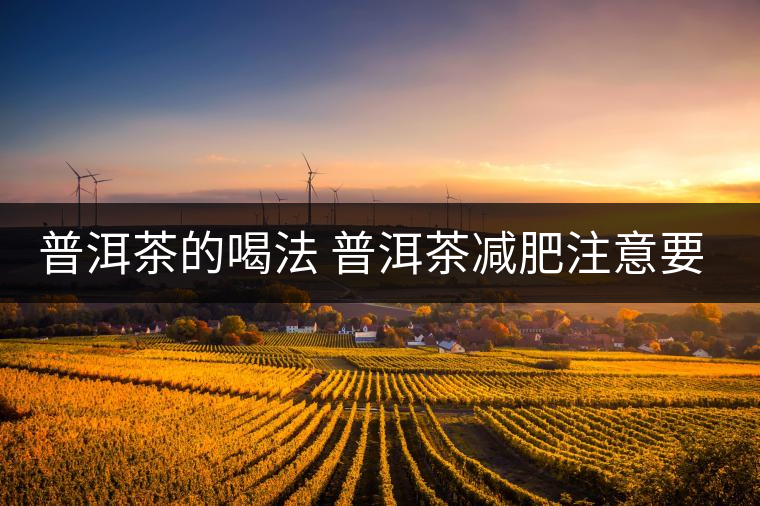 普洱茶的喝法 普洱茶減肥注意要點(diǎn)