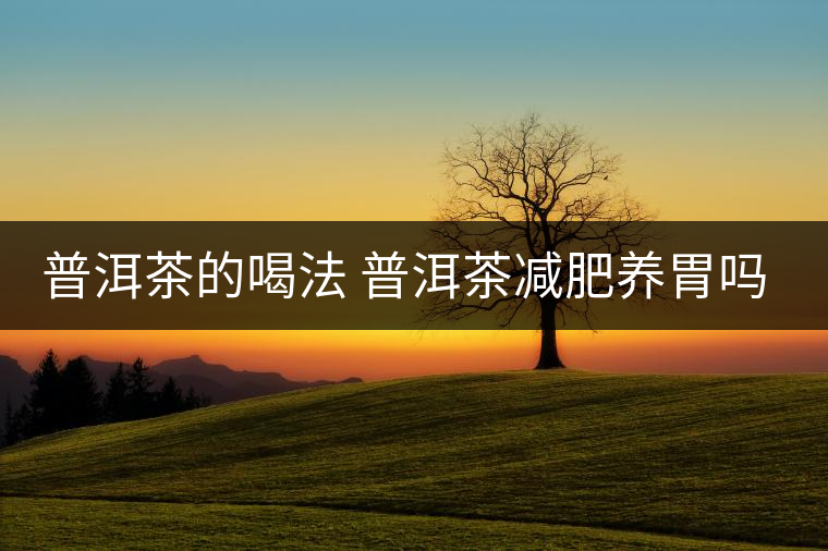 普洱茶的喝法 普洱茶減肥養(yǎng)胃嗎？