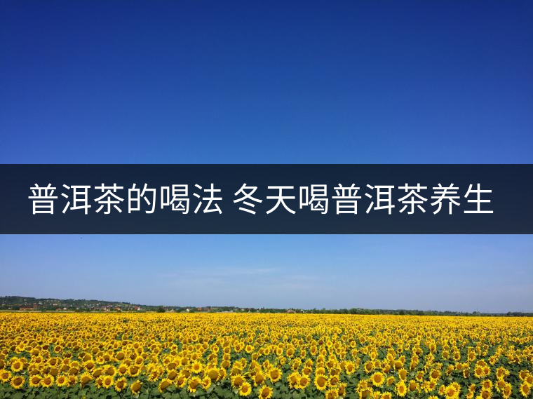 普洱茶的喝法 冬天喝普洱茶養(yǎng)生茶是一種不錯(cuò)的選擇