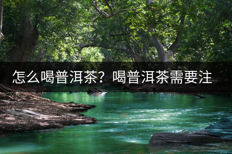 怎么喝普洱茶？喝普洱茶需要注意的要點(diǎn)