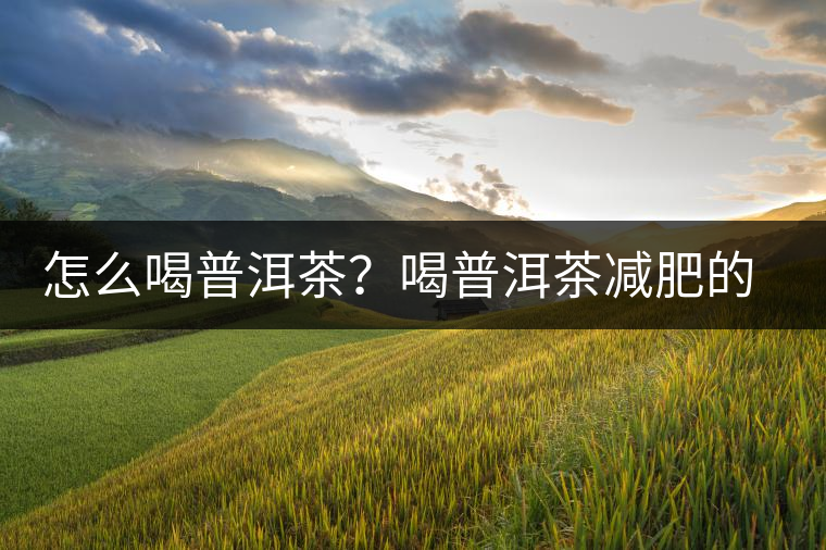 怎么喝普洱茶？喝普洱茶減肥的注意事項(xiàng)