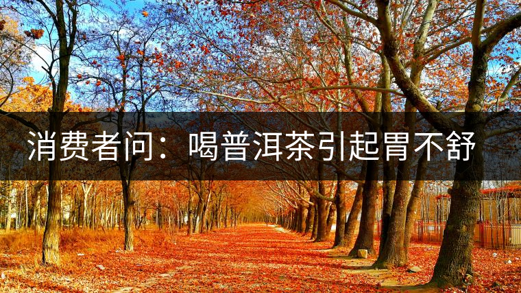 消費者問：喝普洱茶引起胃不舒服怎么辦？