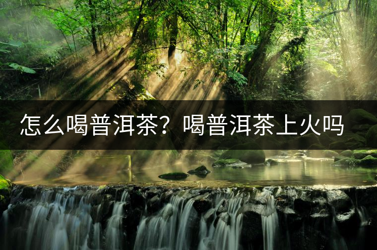 怎么喝普洱茶？喝普洱茶上火嗎？喝普洱茶會不會上火？