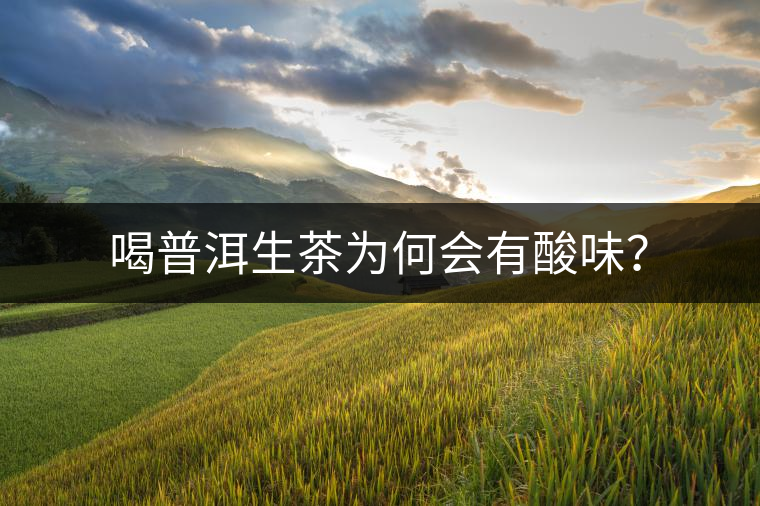喝普洱生茶為何會(huì)有酸味？