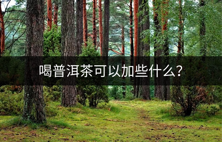 喝普洱茶可以加些什么？