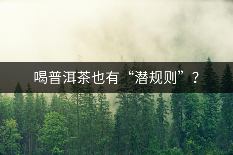 喝普洱茶也有“潛規(guī)則”？