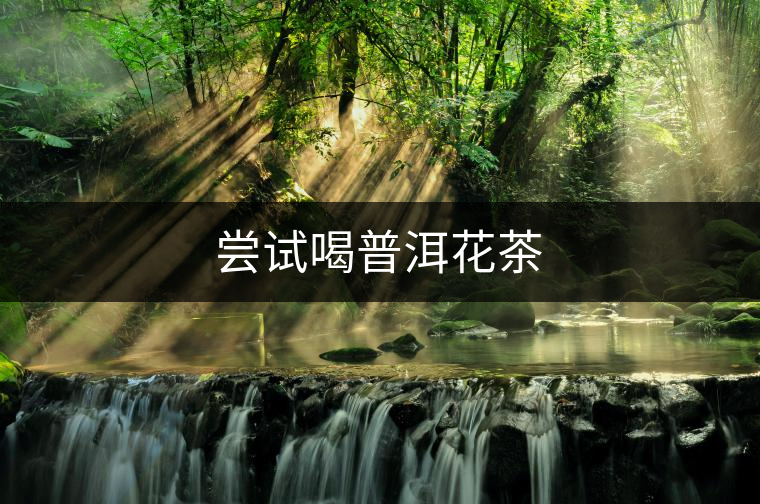 嘗試喝普洱花茶 嘗試喝普洱花茶