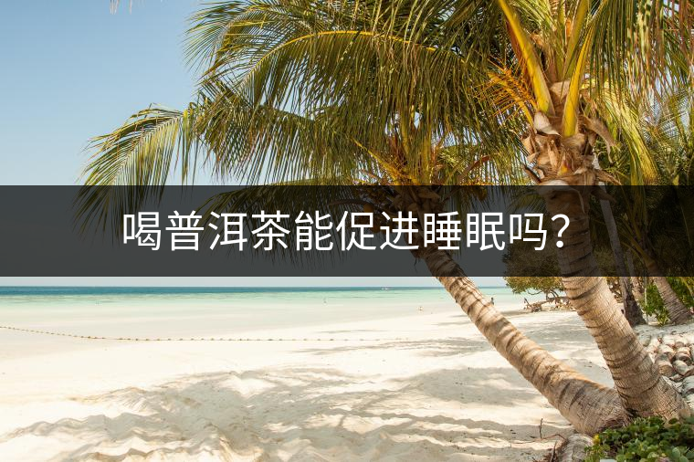 喝普洱茶能促進(jìn)睡眠嗎？