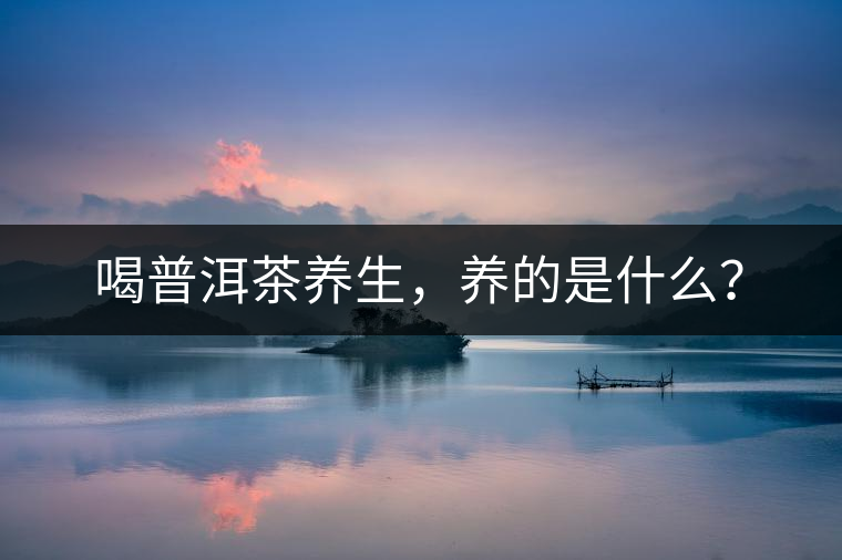 喝普洱茶養(yǎng)生，養(yǎng)的是什么？