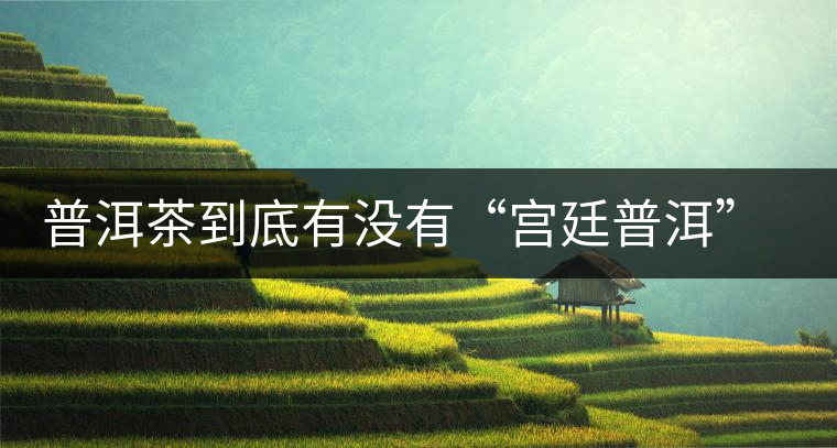普洱茶到底有沒有“宮廷普洱”一說？它到底是什么？