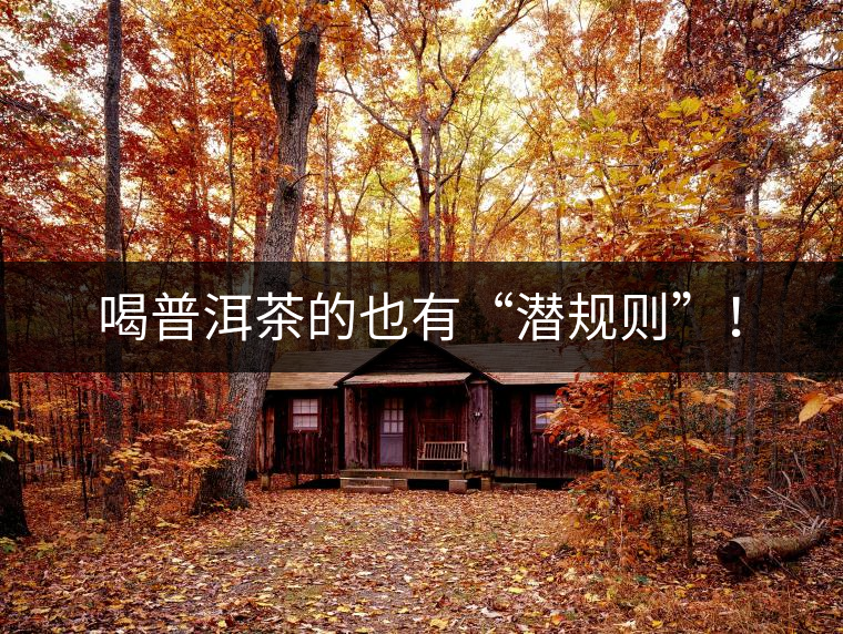 喝普洱茶的也有“潛規(guī)則”！