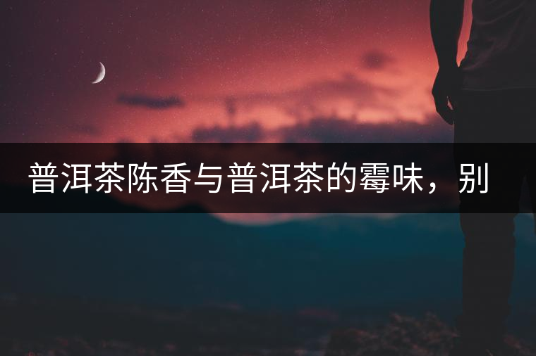 普洱茶陳香與普洱茶的霉味，別把它們給搞混了