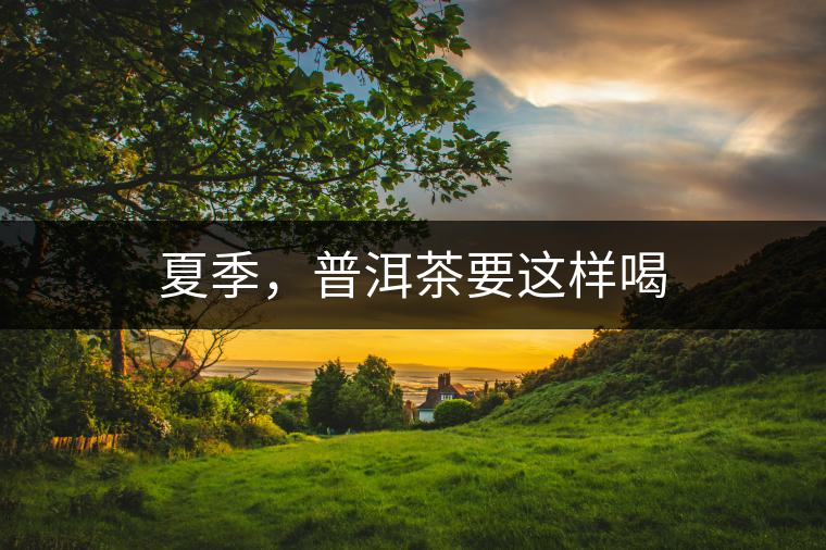 夏季，普洱茶要這樣喝
