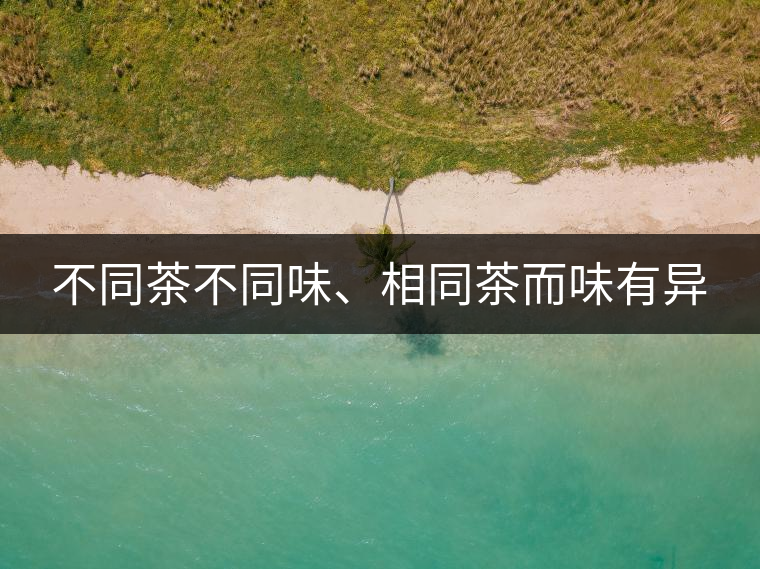 不同茶不同味、相同茶而味有異