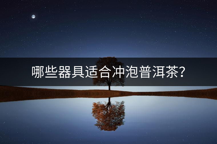 哪些器具適合沖泡普洱茶？