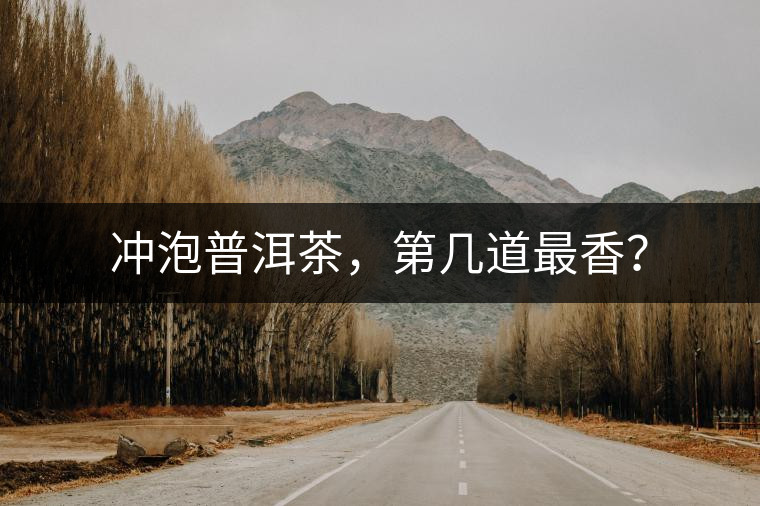 沖泡普洱茶，第幾道最香？