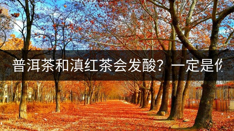 普洱茶和滇紅茶會(huì)發(fā)酸？一定是你這么做了！