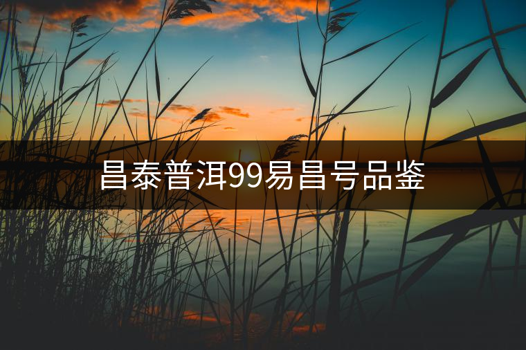 昌泰普洱99易昌號(hào)品鑒 昌泰普洱99易昌號(hào)品鑒