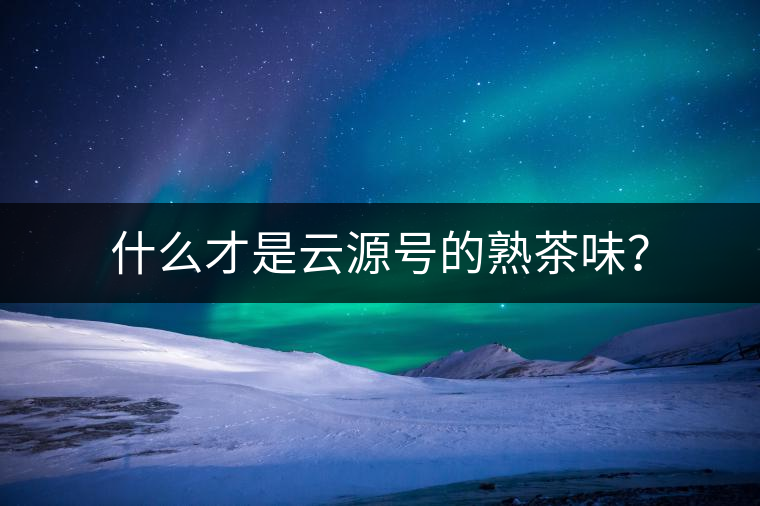 什么才是云源號的熟茶味？