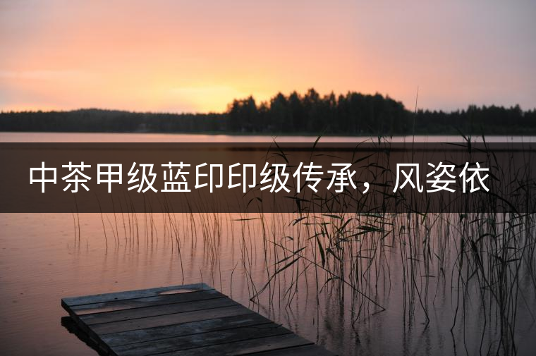 中茶甲級(jí)藍(lán)印印級(jí)傳承，風(fēng)姿依舊